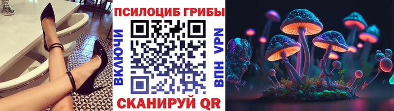 Псилоцибиновые грибы GOLDEN TEACHER  Шумиха 